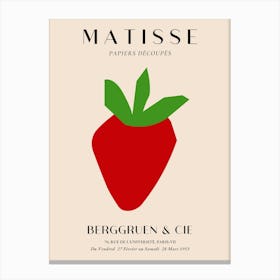 Matisse 1 Canvas Print