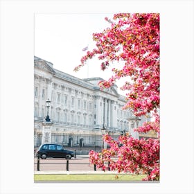 Buckingham Blossom London Canvas Print