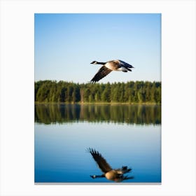 Canadian Goose Diving Into A Serene Scenic Lake Reflected In The Still Water Surrounded By Lush G Canvas Print