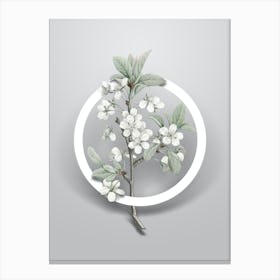 Vintage White Plum Flower Minimalist Flower Geometric Circle on Soft Gray n.0313 Canvas Print
