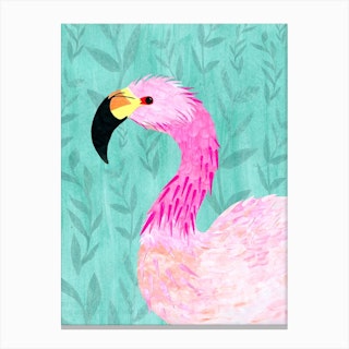 Andes Flamingo Canvas Print