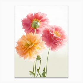Dahlia Flowers Acrylic Painting In Pastel Colours 7 Canvas Print
