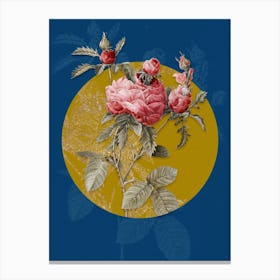 Vintage Botanical Vintage Cabbage Rose on Circle Yellow on Blue Canvas Print