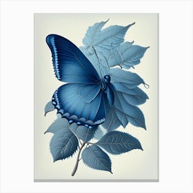 Holly Blue Butterfly Retro Illustration 4 Canvas Print