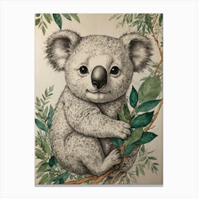 Koala 27 Canvas Print