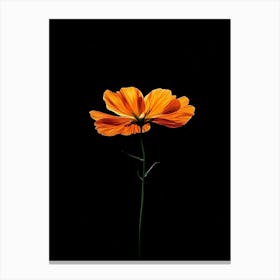 Cosmos 3 Canvas Print