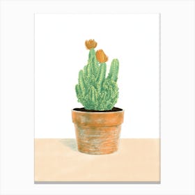Cactus In Terracotta Pot Canvas Print