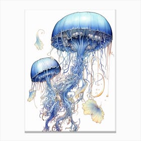 Portuguese Man Of War Jellyfish 10 Canvas Print