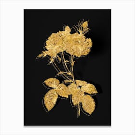 Vintage Damask Rose Botanical in Gold on Black n.0148 Canvas Print