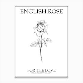 English Rose Black And White Line Drawing 15 Poster Canvas Print