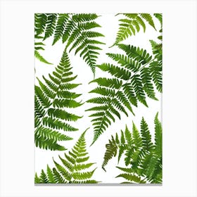 Pattern Poster Boston Fern 1 Canvas Print