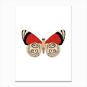 Tiger Moth Canvas Print