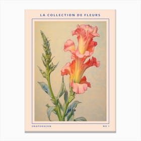 Snapdragon French Flower Botanical Poster Canvas Print