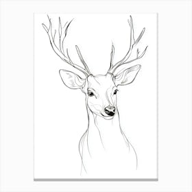 Deer Head Drawing Canvas Print