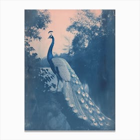 Cyanotype Peacock By The Water Canvas Print