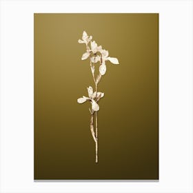 Gold Botanical Siberian Iris on Dune Yellow n.2925 Canvas Print