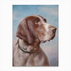 Vintage Painting German Shorthaired Pointer Canvas Print