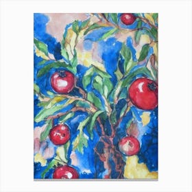 Pomegranate 2 Classic Fruit Canvas Print