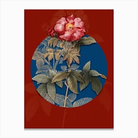 Vintage Botanical Provins Rose on Circle Blue on Red n.0095 Canvas Print