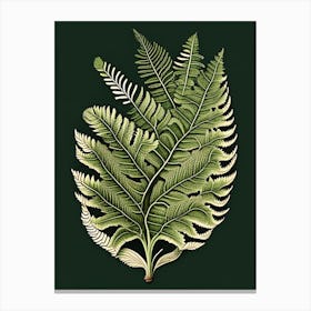 Southern Shield Fern 1 Vintage Botanical Poster Canvas Print
