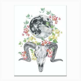 Aries Moon Canvas Print