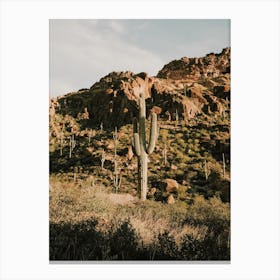 Saguaro In Mountain Canvas Print