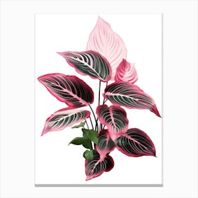 Pink And Green Plant Canvas Print