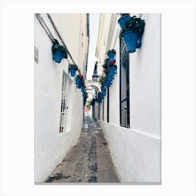 Narrow Alley With Blue Pots In Córdoba Canvas Print