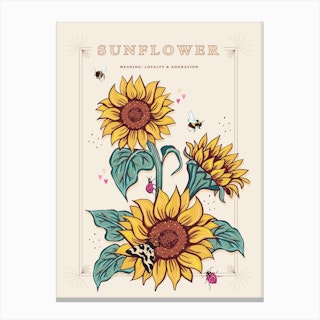 Sunflower On Cream Canvas Print