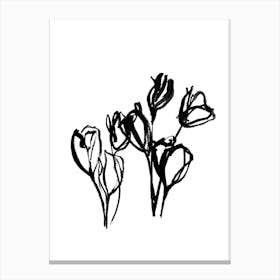 Spring Tulips Iii Canvas Print