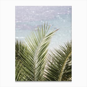 Beach Palms Canvas Print