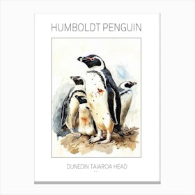Humboldt Penguin Dunedin Taiaroa Head Watercolour Painting 2 Poster Canvas Print