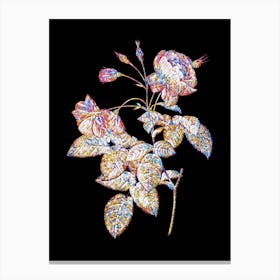 Stained Glass Pink Boursault Rose Mosaic Botanical Illustration on Black n.0096 Canvas Print