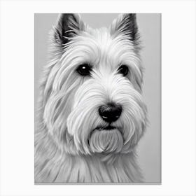 West Highland White Terrier B&W Pencil dog Canvas Print