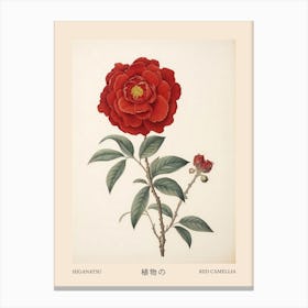 Higanatsu Red Camellia 2 Vintage Japanese Botanical Poster Canvas Print