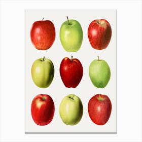 Red And Green Apples Canvas Print