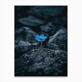 Blue Flower 16 Canvas Print