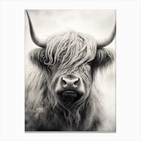 Black & White Stippling Illustration Of Highland Cow 3 Canvas Print