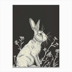 American Fuzzy Lop Rabbit Minimalist Illustration 1 Canvas Print