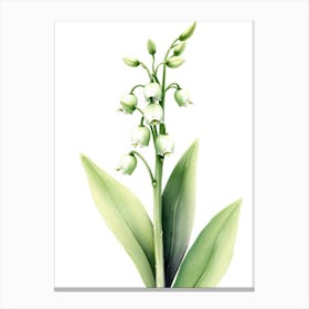 Lily Of The Valley 16 Canvas Print