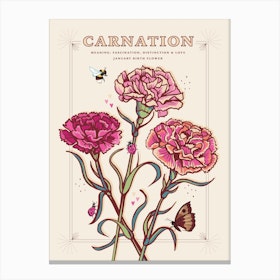 January Birth Flower Carnation On Cream Canvas Print