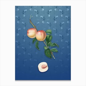 Vintage White Walnut Botanical on Bahama Blue Pattern n.2033 Canvas Print