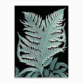 Silver Lace Fern 5 Vintage Botanical Poster Canvas Print