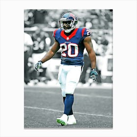 Ed Reed Of The Houston Texans Canvas Print