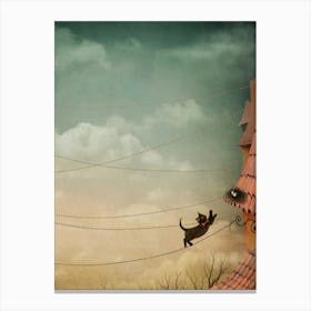 Cat On Wires Canvas Print