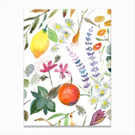 Aromatherapy Lemon White Canvas Print