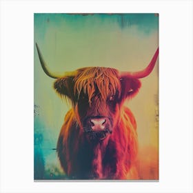 Highland Cattle Polaroid Inspired 2 Canvas Print