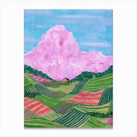 Flower Fields Canvas Print