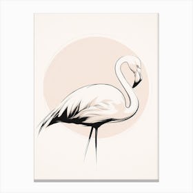 Flamingo 3 Canvas Print