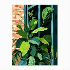 Plant In A Window Canvas Print